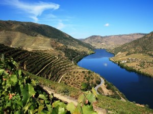 La vallée de la Douro